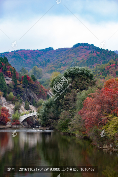 紅葉谷景色