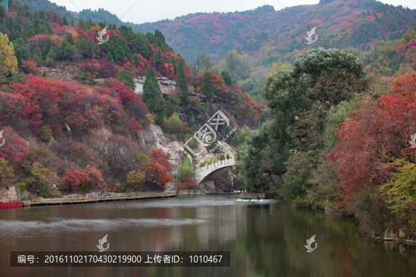 紅葉谷景色