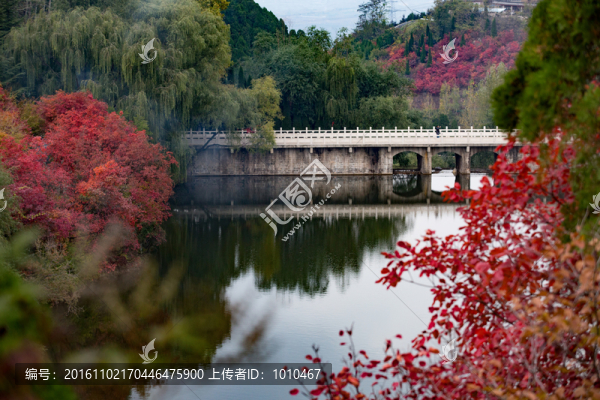 紅葉谷景色