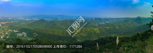 高山遠(yuǎn)眺