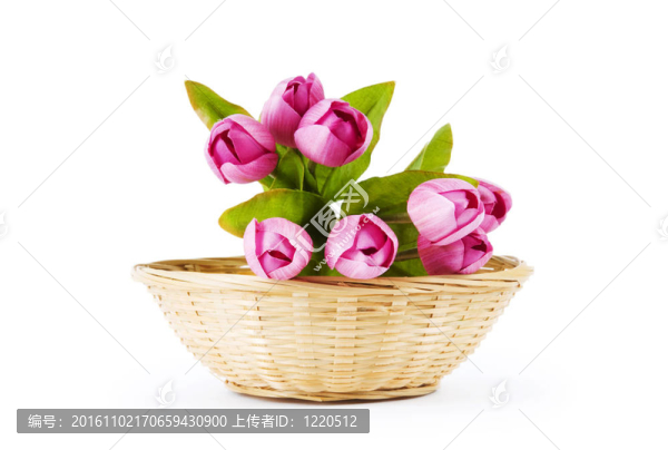 桌上五顏六色的郁金香花束