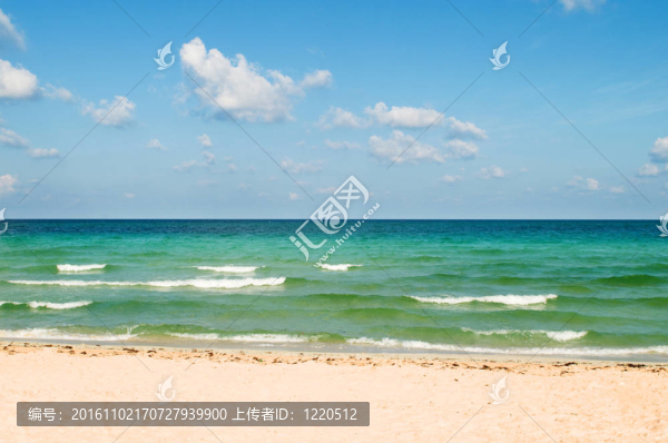 在明亮的夏天的沙灘上
