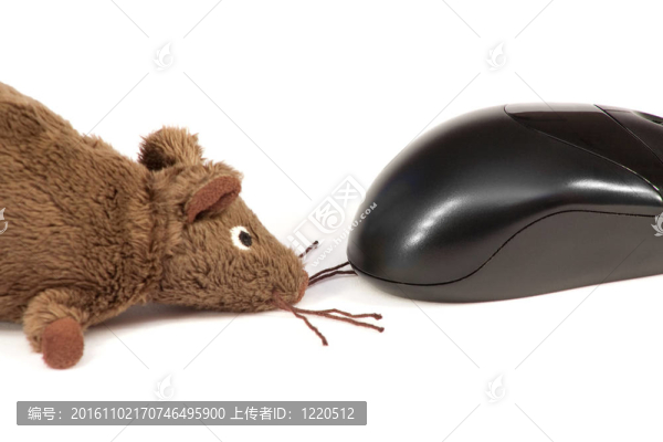電腦鼠標(biāo)和玩具