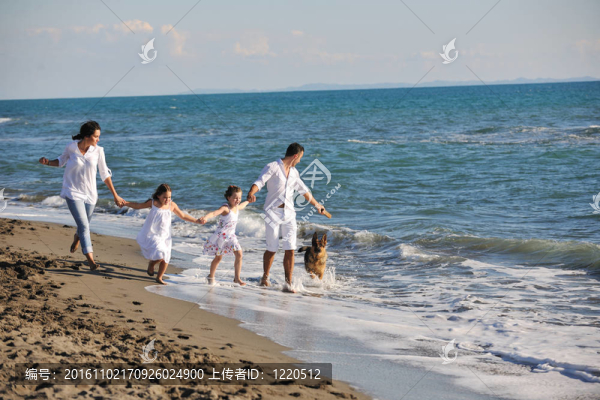 和狗在海灘上玩的快樂的家庭
