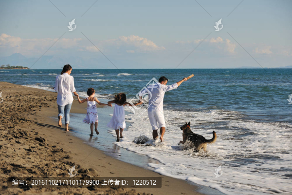 和狗在海灘上玩的快樂的家庭