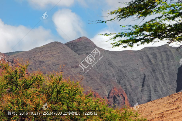 山地景觀