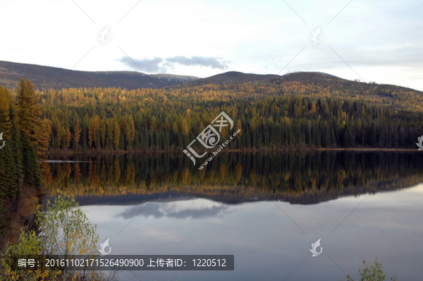 湖邊的風(fēng)景