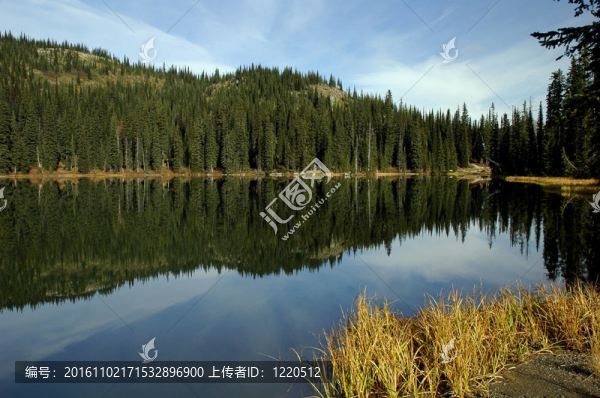 荒野湖
