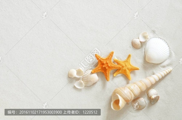 海灘