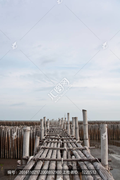 竹橋