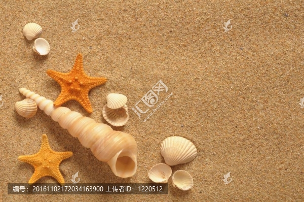 在海灘上