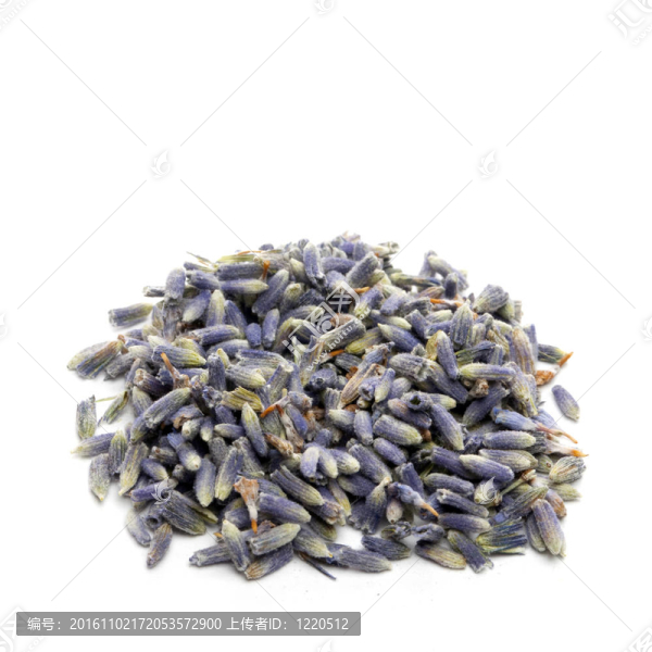 薰衣草