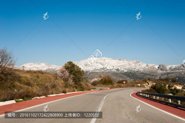 路
