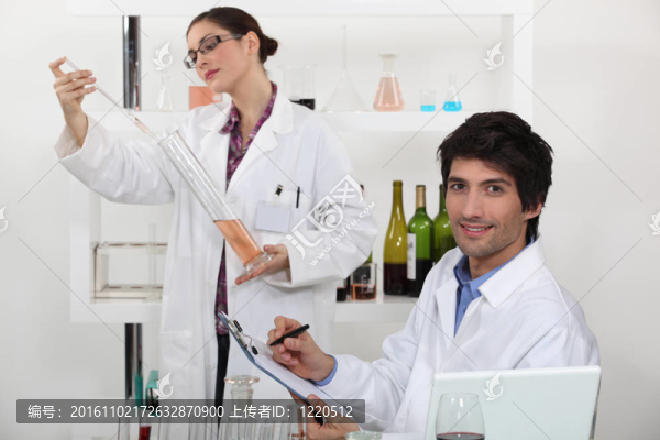 分析不同的葡萄酒釀酒師