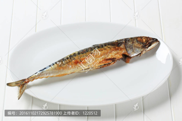 鹽烤青花魚