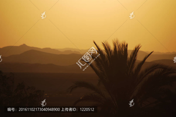 夕陽(yáng)與棕櫚樹和沙漠