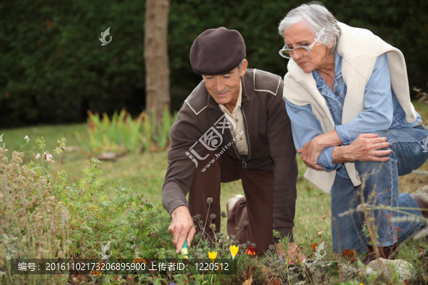 老年夫婦園藝