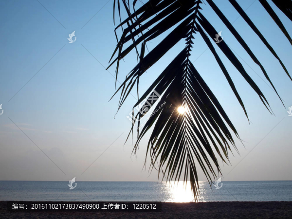 浪漫的熱帶海