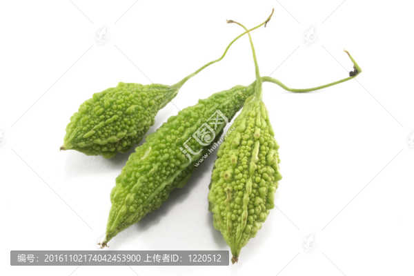 新鮮的苦味