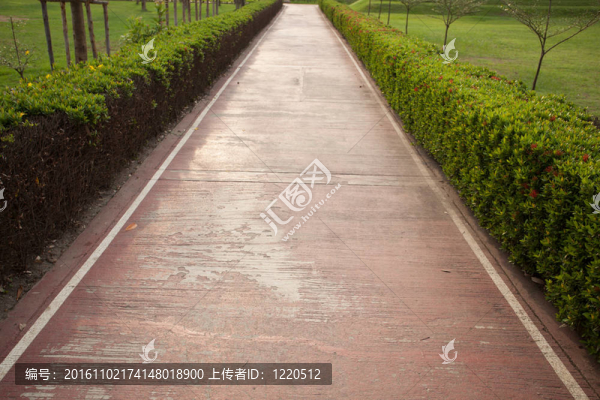 在公園里散步。