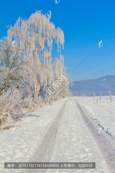 鄉(xiāng)間小路穿過(guò)白雪皚皚的田野。垂直地.（捷克共和國(guó)）