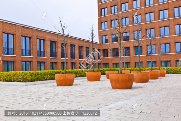 現(xiàn)代磚建筑的正面與前面的樹(shù)