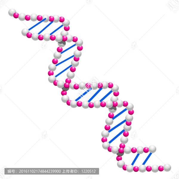 DNA螺旋分離