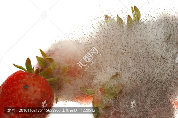 發(fā)霉的草莓