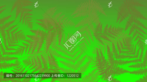 充滿活力的蕨類植物背景。