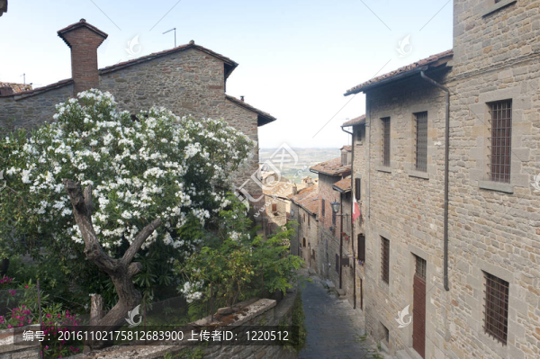Cortona（阿雷佐）