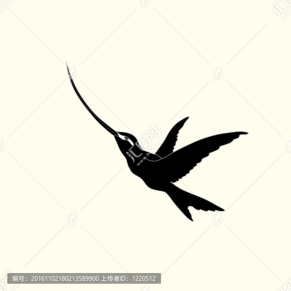 蜂鳥