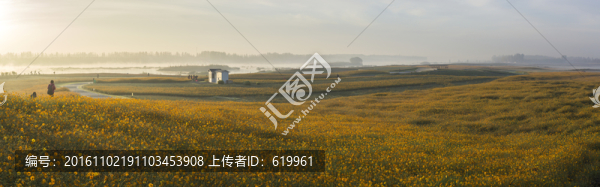 花海