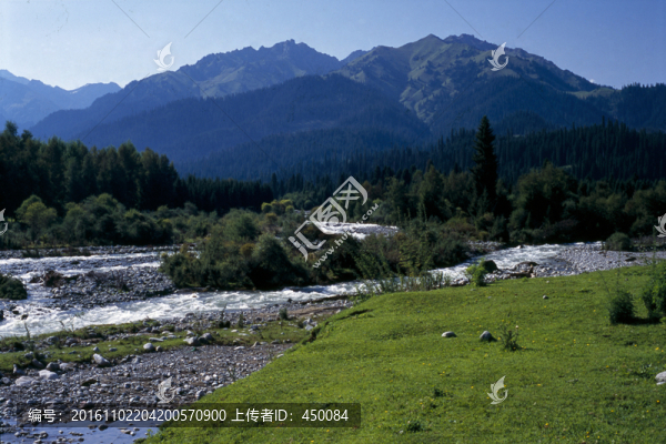 天山林場
