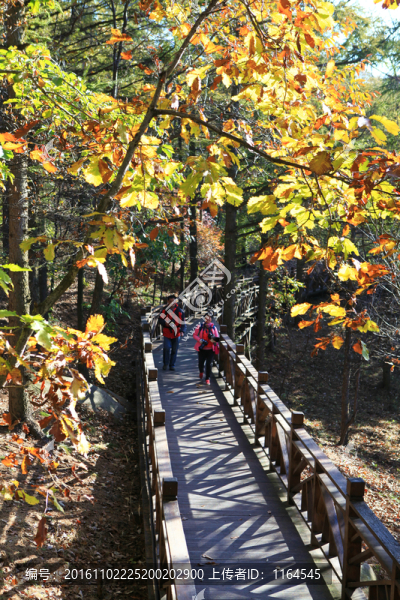 山東臨沂龜蒙蒙山景區(qū)風(fēng)光