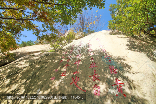 山東臨沂龜蒙蒙山景區(qū)秋色美