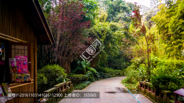 望江公園