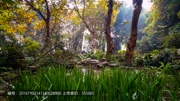 望江公園