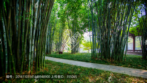 望江公園