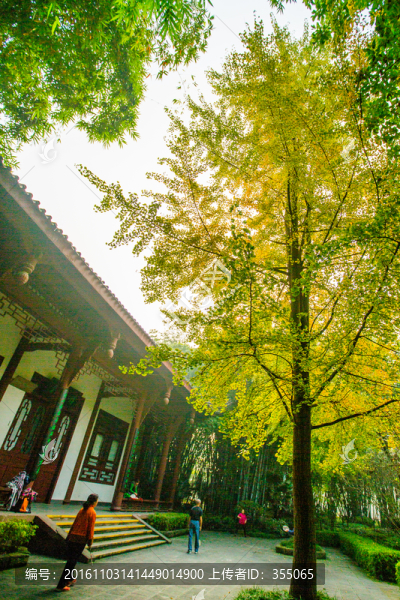 望江公園
