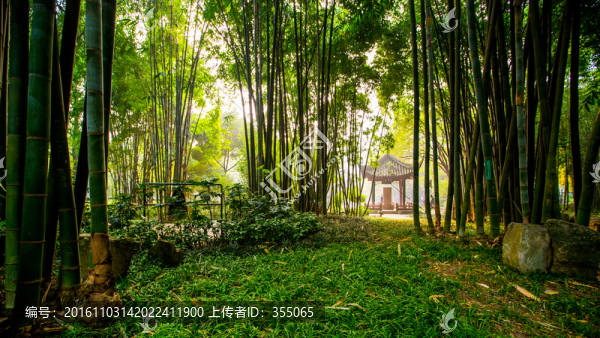 望江公園