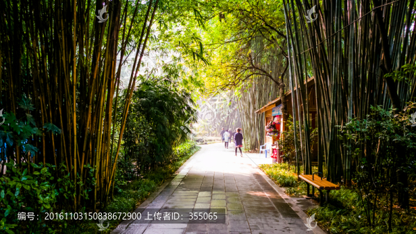 望江公園