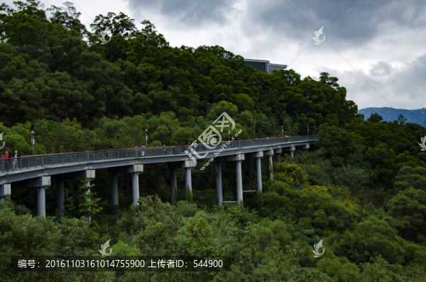 棧道大圖