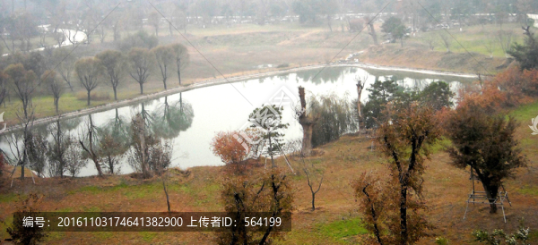 北京奧森公園,,濕地