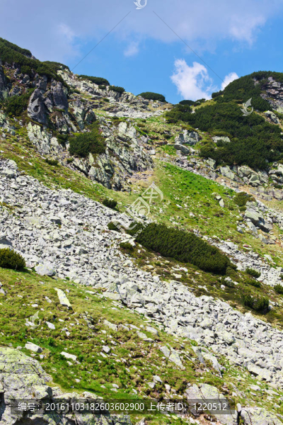 在羅馬尼亞帕朗山setea馬峰景觀