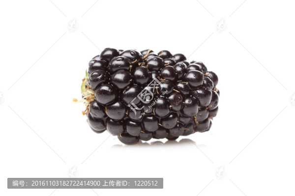 一個新鮮的黑莓