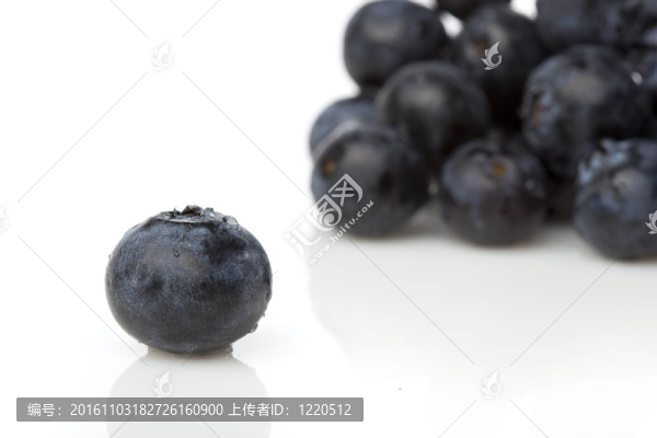 新鮮的藍莓