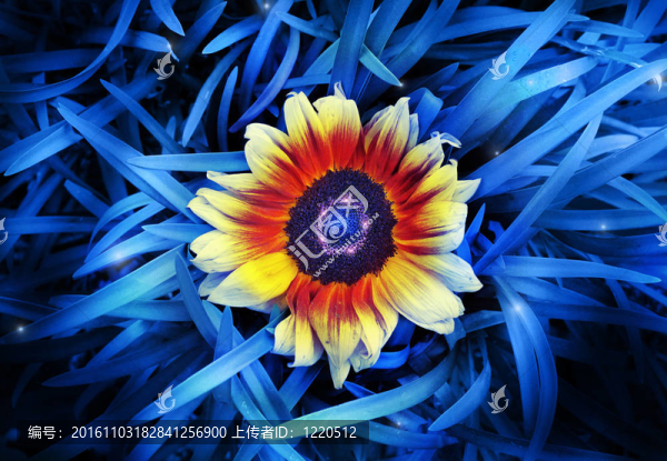 花