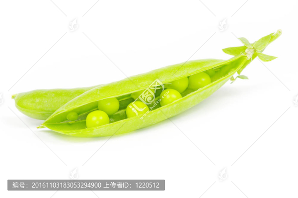 豌豆