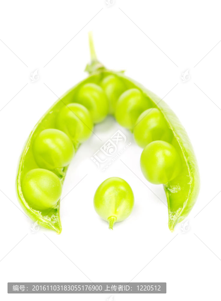 豌豆