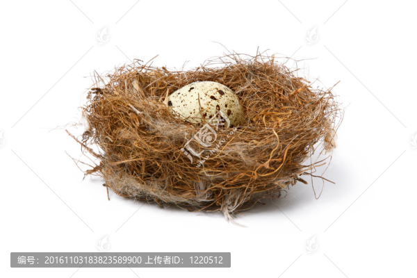 鳥巢